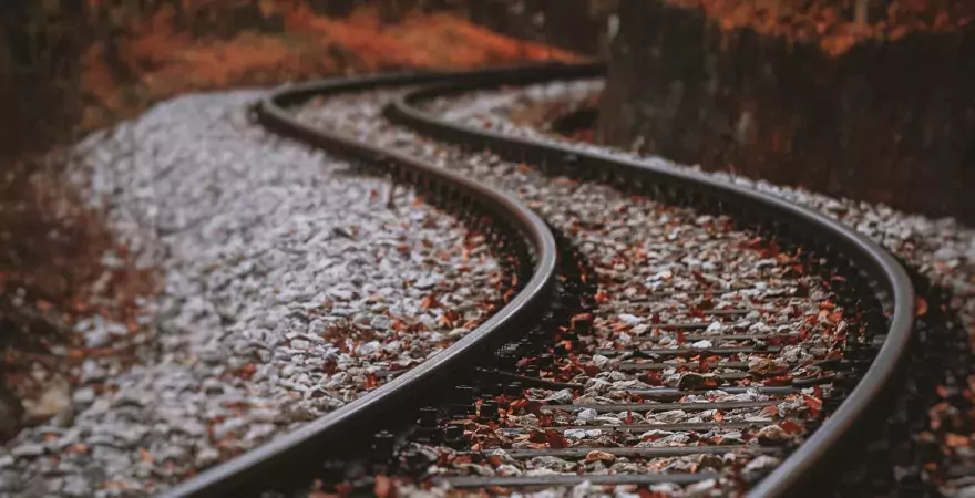 Canonical (link kanoniczny) - czym jest i jak go stosować?